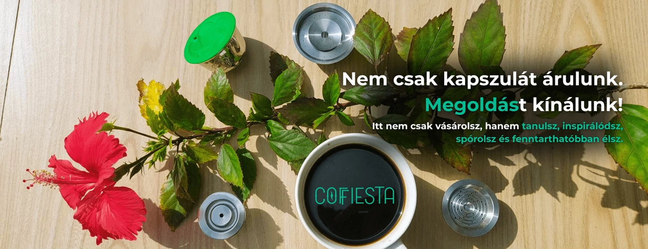 meggyőzés
