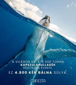 A kávé, ami nem csak finom, de környezetbarát is